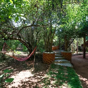 The Thick Forest Sigirîya